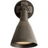 Wall Mount 1-Light 11.3 in. Outdoor Antique Bronze Wall Lantern by Progress Lighting