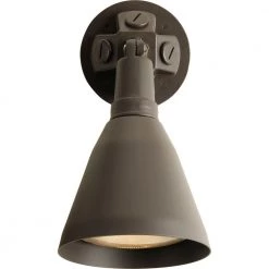 Wall Mount 1-Light 11.3 in. Outdoor Antique Bronze Wall Lantern by Progress Lighting