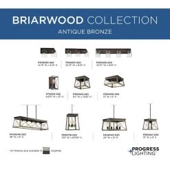 Briarwood Collection 2-Light Antique Bronze Kitchen Farmhouse Ceiling Light Flush Mount with Painted Wood Oak Frame by Progress Lighting -Progress Lighting Shop antique bronze progress lighting flush mount lights p350039 020 40 1000