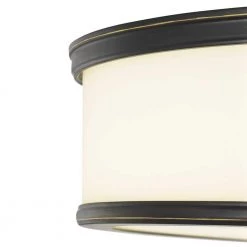 Bezel LED Collection 1-Light Antique Bronze Integrated LED Flush Mount by Progress Lighting -Progress Lighting Shop antique bronze progress lighting flush mount lights p350087 020 30 1f 1000