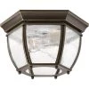 Roman Coach Collection 2-Light Antique Bronze Clear Seeded Glass Traditional Outdoor Close-to-Ceiling Light by Progress Lighting -Progress Lighting Shop antique bronze progress lighting outdoor flush mount lights p6019 20 64 1000