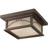 Residence Collection 2-Light Antique Bronze Umber Textured Art Glass Craftsman Outdoor Close-to-Ceiling Light by Progress Lighting -Progress Lighting Shop antique bronze progress lighting outdoor flush mount lights p6055 20 64 1000
