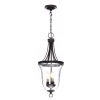 Seeded Glass Collection 9.75 in. 3-Light Antique Bronze Foyer Pendant with Clear Seeded Glass by Progress Lighting -Progress Lighting Shop antique bronze progress lighting pendant lights p3753 20 64 1000