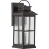 Williamston Collection 7 in. 1-Light Antique Bronze Clear Glass Farmhouse Outdoor Large Wall Lantern Entry Light by Progress Lighting