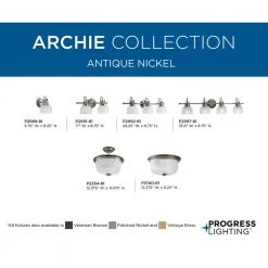 Archie Collection 2-Light Antique Nickel Flush Mount with Clear Prismatic Glass by Progress Lighting 12 Archie Collection 2-Light Antique Nickel Flush Mount with Clear Prismatic Glass by Progress Lighting -Progress Lighting Shop antique nickel progress lighting flush mount lights p3740 81 d4 1000