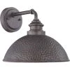 Englewood Collection 1-Light Antique Pewter Farmhouse Outdoor Medium Wall Lantern Light by Progress Lighting 2 Englewood Collection 1-Light Antique Pewter Farmhouse Outdoor Medium Wall Lantern Light by Progress Lighting -Progress Lighting Shop antique pewter progress lighting outdoor sconces p560098 103 64 1000