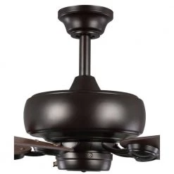 Edgefield 52 in. Architectural Bronze Ceiling Fan by Progress Lighting 22 Edgefield 52 in. Architectural Bronze Ceiling Fan by Progress Lighting -Progress Lighting Shop architectural bronze progress lighting ceiling fans without lights p250016 129 fa 1000