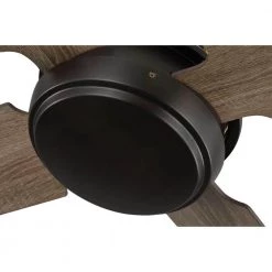 Shaffer 56 in. 4-Blade Bronze Ceiling Fan by Progress Lighting -Progress Lighting Shop architectural bronze progress lighting ceiling fans without lights p2590 129 c3 1000