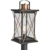 Barlowe Collection 1-Light Antique Bronze Clear Seeded Glass Farmhouse Outdoor Post Lantern Light by Progress Lighting -Progress Lighting Shop architectural bronze progress lighting deck post lights p540068 020 64 1000