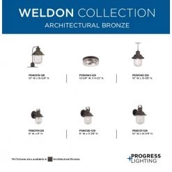 Weldon Collection 1-Light Architectural Bronze Clear Seeded Glass Farmhouse Outdoor Small Wall Lantern Light by Progress Lighting -Progress Lighting Shop architectural bronze progress lighting outdoor sconces p560119 129 66 1000
