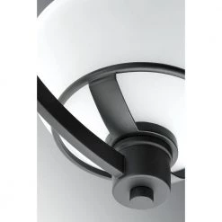 Domain Collection 4-Light Black Chandelier by Progress Lighting 9 Domain Collection 4-Light Black Chandelier by Progress Lighting -Progress Lighting Shop black progress lighting chandeliers p400035 031 1f 1000