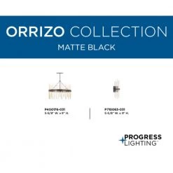 Orrizo Collection 6-Light Matte Black Clear Glass Luxe Chandelier Light by Progress Lighting -Progress Lighting Shop black progress lighting chandeliers p400176 031 77 1000