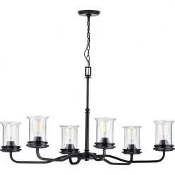 Winslett Collection 6-Light Matte Black Clear Seeded Glass Coastal Chandelier Light by Progress Lighting