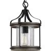 Brenham Collection 1-Light Matte Black Clear Seeded Glass Farmhouse Indoor Pendant Light by Progress Lighting -Progress Lighting Shop black progress lighting chandeliers p500234 031 64 1000