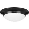 11-1/2 in. 1-Light Black Etched Glass Flush Mount by Progress Lighting -Progress Lighting Shop black progress lighting flush mount lights p350146 031 64 1000