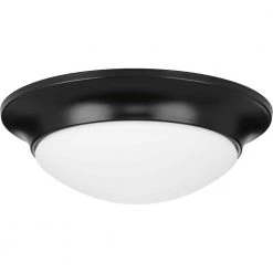 11-1/2 in. 1-Light Black Etched Glass Flush Mount by Progress Lighting