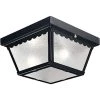 2-Light Matte Black Textured Glass Traditional Outdoor Ceiling Light by Progress Lighting -Progress Lighting Shop black progress lighting outdoor flush mount lights p5729 31 64 1000