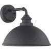 Englewood Collection 1-Light Textured Black Farmhouse Outdoor Medium Wall Lantern Light by Progress Lighting