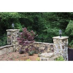 Onion Lantern Collection 4-Light Textured Black Clear Beveled Glass Traditional Outdoor Post Lantern Light by Progress Lighting -Progress Lighting Shop black progress lighting post lanterns p5401 31 4f 1000