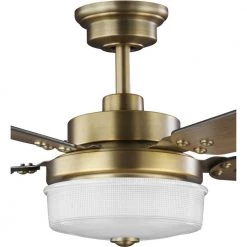 Tempt 52 in. Integrated LED Brass Ceiling Fan with Light by Progress Lighting 17 Tempt 52 in. Integrated LED Brass Ceiling Fan with Light by Progress Lighting -Progress Lighting Shop brass progress lighting ceiling fans with lights p2578 16330k 66 1000