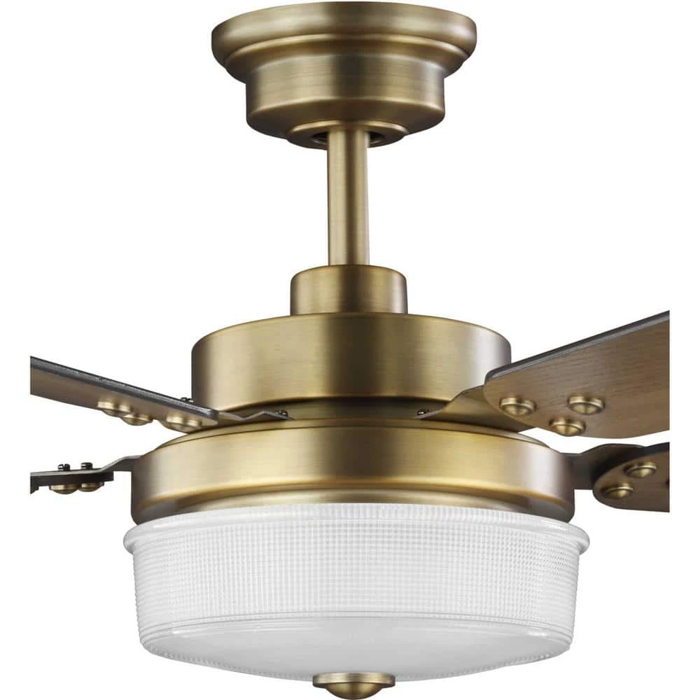 Tempt 52 in. Integrated LED Brass Ceiling Fan with Light by Progress Lighting 6 Tempt 52 in. Integrated LED Brass Ceiling Fan with Light by Progress Lighting - Image 4