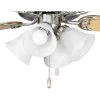 Fan Light Kits Collection 4-Light Brushed Nickel Ceiling Fan Light Kit by Progress Lighting -Progress Lighting Shop brushed nickel progress lighting ceiling fan light kits p2610 09wb 64 1000