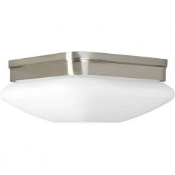 Appeal Collection 2-Light Brushed Nickel Flush Mount with Opal Etched Glass by Progress Lighting -Progress Lighting Shop brushed nickel progress lighting flush mount lights p3549 09 77 1000