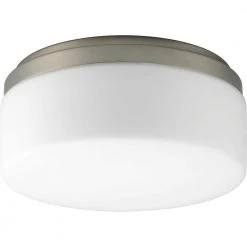 Maier Collection 1-Light Brushed Nickel Flush Mount by Progress Lighting