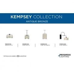 Brookside Collection 1-Light Brushed Nickel Mini Pendant by Progress Lighting -Progress Lighting Shop brushed nickel progress lighting pendant lights p5023 09 40 1000