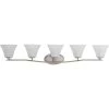 Bravo Collection 5-Light Brushed Nickel Etched Glass Modern Bath Vanity Light by Progress Lighting