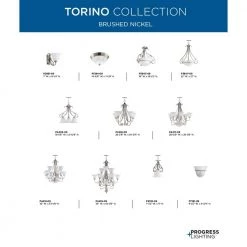 Torino Collection 1-Light Brushed Nickel Etched Glass Transitional Bath Vanity Light by Progress Lighting 12 Torino Collection 1-Light Brushed Nickel Etched Glass Transitional Bath Vanity Light by Progress Lighting -Progress Lighting Shop brushed nickel progress lighting wall sconces p2881 09 a0 1000