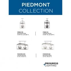 Piedmont Collection 4-Light Burnished Silver Foyer Pendant by Progress Lighting -Progress Lighting Shop burnished silver progress lighting pendant lights p3884 126 a0 1000