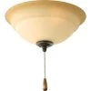 Torino Collection 2-Light Forged Bronze Ceiling Fan Light Kit by Progress Lighting 2 Torino Collection 2-Light Forged Bronze Ceiling Fan Light Kit by Progress Lighting -Progress Lighting Shop forged bronze progress lighting ceiling fan light kits p2645 77wb 64 1000