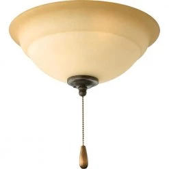 Torino Collection 2-Light Forged Bronze Ceiling Fan Light Kit by Progress Lighting