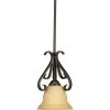 Torino 1-Light Forged Bronze Kitchen Island Mini Pendant with Tea-Stained Glass by Progress Lighting -Progress Lighting Shop forged bronze progress lighting pendant lights p5153 77 64 1000