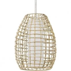 Pawley Collection 1-Light Galvanized Rattan Etched Glass Global Outdoor Pendant Hanging Light by Progress Lighting