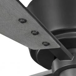 Chapin Collection 56" 4-Blade Black Graphite Modern Ceiling Fan for Bedrooms by Progress Lighting -Progress Lighting Shop graphite progress lighting ceiling fans without lights p250022 143 1f 1000