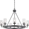 Gresham Collection 9-Light Graphite Clear Seeded Glass Farmhouse Chandelier Light by Progress Lighting -Progress Lighting Shop graphite progress lighting chandeliers p400165 143 64 1000