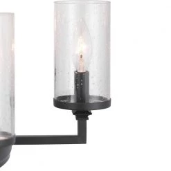 Gresham Collection 9-Light Graphite Clear Seeded Glass Farmhouse Chandelier Light by Progress Lighting -Progress Lighting Shop graphite progress lighting chandeliers p400165 143 c3 1000