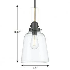 Rushton Collection 1-Light Graphite Clear Glass Industrial Pendant Hanging Light by Progress Lighting -Progress Lighting Shop graphite progress lighting chandeliers p500329 143 1f 1000