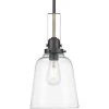 Rushton Collection 1-Light Graphite Clear Glass Industrial Pendant Hanging Light by Progress Lighting -Progress Lighting Shop graphite progress lighting chandeliers p500329 143 64 1000