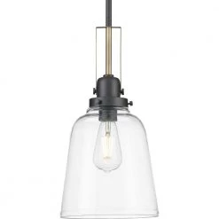 Rushton Collection 1-Light Graphite Clear Glass Industrial Pendant Hanging Light by Progress Lighting