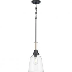 Rushton Collection 1-Light Graphite Clear Glass Industrial Pendant Hanging Light by Progress Lighting -Progress Lighting Shop graphite progress lighting chandeliers p500329 143 c3 1000