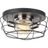 Gauge Collection 14 in. 2-Light Graphite Flush Mount by Progress Lighting 2 Gauge Collection 14 in. 2-Light Graphite Flush Mount by Progress Lighting -Progress Lighting Shop graphite progress lighting flush mount lights p350037 143 64 1000