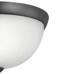 1-Light Graphite Flush Mount by Progress Lighting -Progress Lighting Shop graphite progress lighting flush mount lights p350043 143 1f 1000