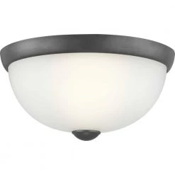 1-Light Graphite Flush Mount by Progress Lighting -Progress Lighting Shop graphite progress lighting flush mount lights p350043 143 44 1000