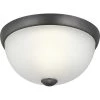 1-Light Graphite Flush Mount by Progress Lighting -Progress Lighting Shop graphite progress lighting flush mount lights p350043 143 64 1000