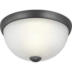 1-Light Graphite Flush Mount by Progress Lighting