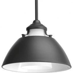 Carbon Collection 1-light Graphite Pendant by Progress Lighting -Progress Lighting Shop graphite progress lighting pendant lights p500013 143 c3 1000