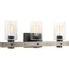 Gulliver Collection 24 in. 3-Light Graphite Finish Clear Seeded Glass Coastal Bathroom Vanity Light by Progress Lighting -Progress Lighting Shop graphite progress lighting vanity lighting p300125 143 64 1000